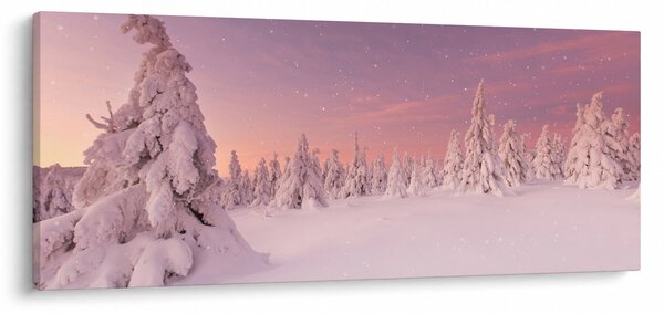 Obraz - Stromy pod snehovou prikrývkou (120x50 cm)