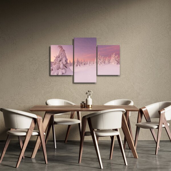Obraz - Stromy pod snehovou prikrývkou (90x60 cm)