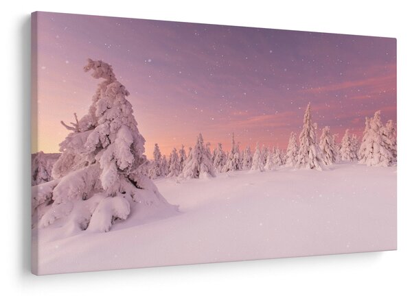 Obraz - Stromy pod snehovou prikrývkou (90x60 cm)