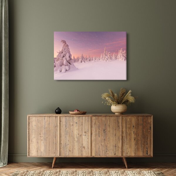 Obraz - Stromy pod snehovou prikrývkou (90x60 cm)