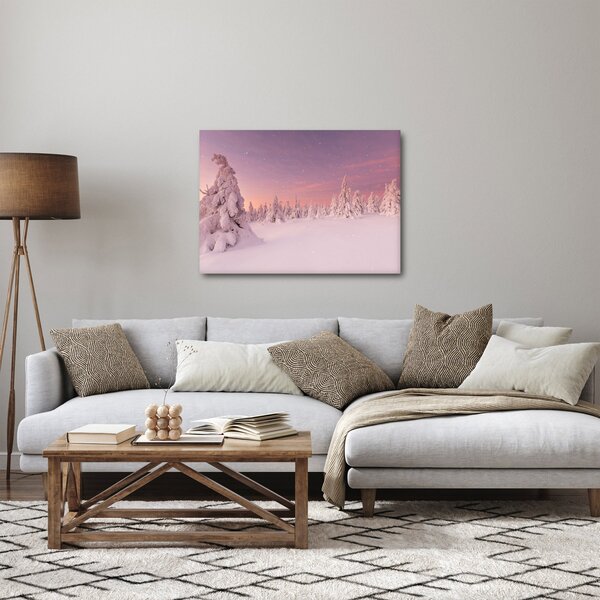 Obraz - Stromy pod snehovou prikrývkou (70x50 cm)