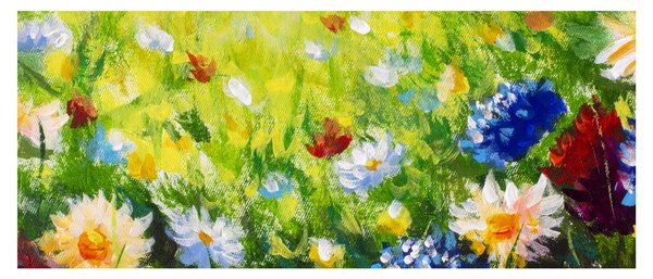 Obraz rozkvitnutej lúky, olejomaľba (120x50 cm)