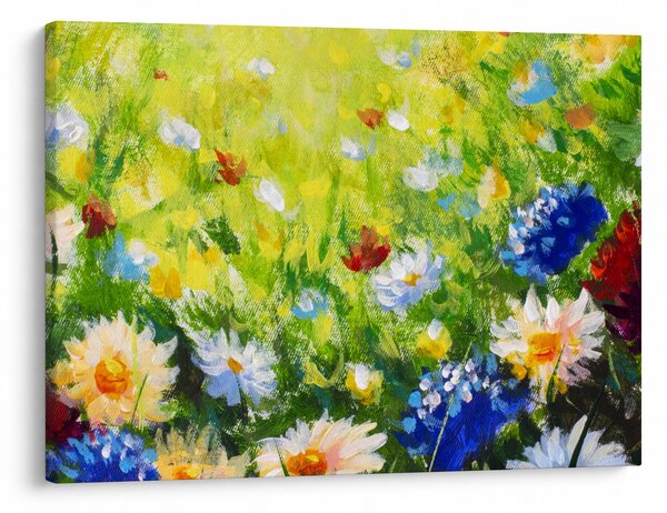 Obraz rozkvitnutej lúky, olejomaľba (70x50 cm)