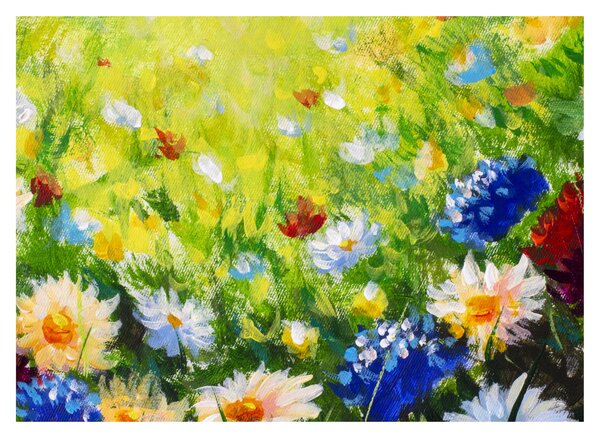 Obraz rozkvitnutej lúky, olejomaľba (70x50 cm)