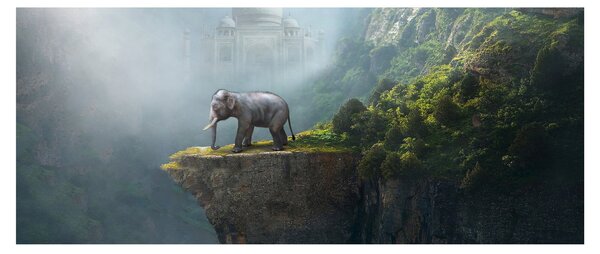 Obraz - Sloník na vrchole Taj Mahal (120x50 cm)