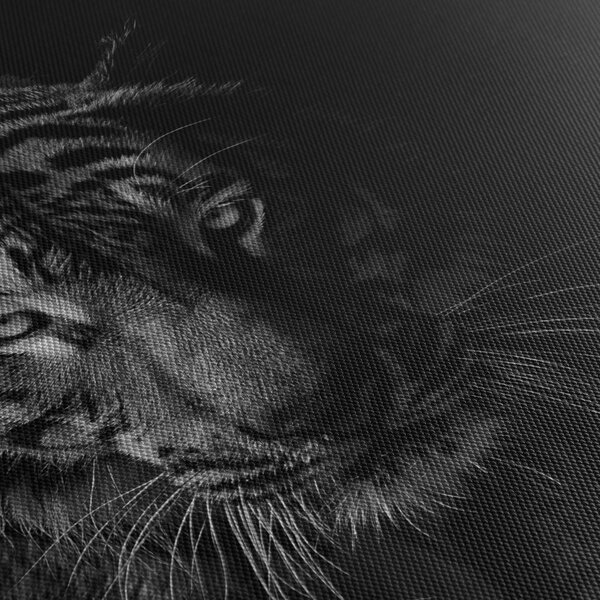 Obraz divokého tigra (90x60 cm)