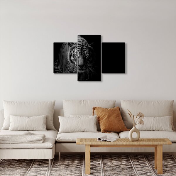 Obraz divokého tigra (90x60 cm)