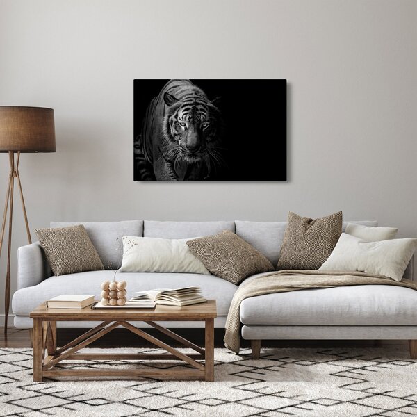Obraz divokého tigra (90x60 cm)