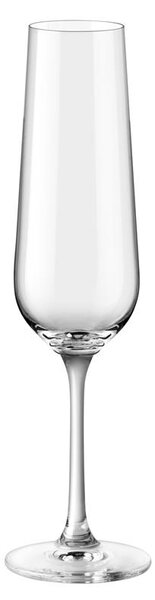 BOHEMIA PRESTIGE BONITA POHÁR NA ŠAMPANSKÉ 200ML SADA 6 KS
