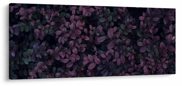 Obraz tmavočervených lístočkov (120x50 cm)