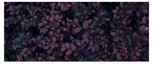 Obraz tmavočervených lístočkov (120x50 cm)