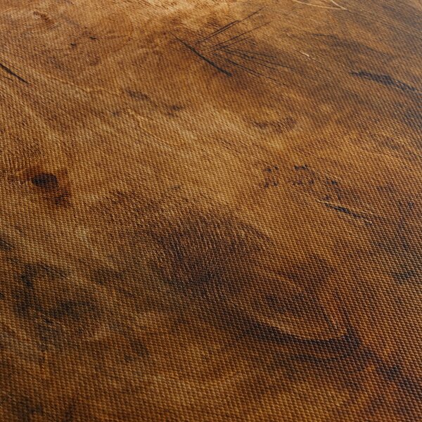 Obraz - Detail dreva (150x105 cm)