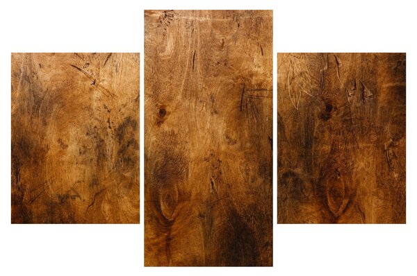 Obraz - Detail dreva (90x60 cm)