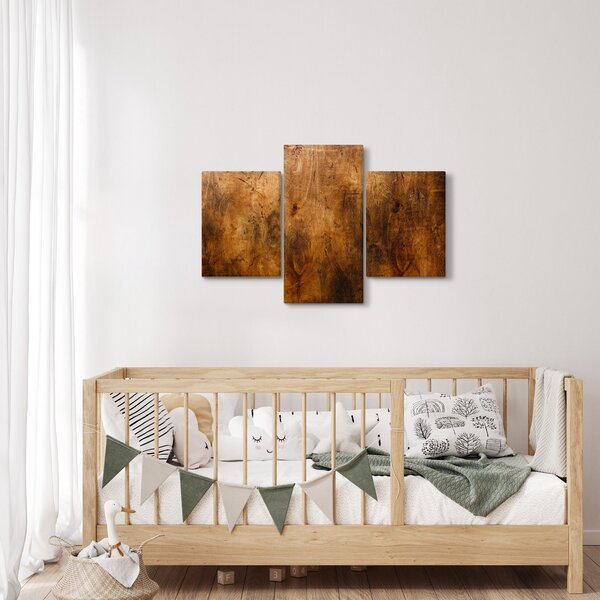 Obraz - Detail dreva (90x60 cm)