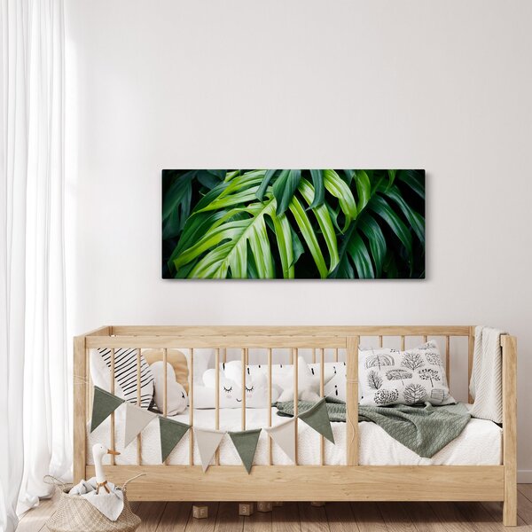 Obraz - Tropické listy (120x50 cm)