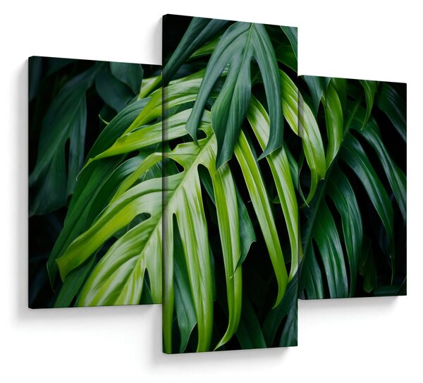 Obraz - Tropické listy (90x60 cm)