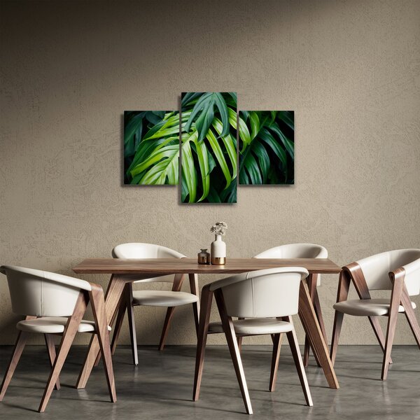 Obraz - Tropické listy (90x60 cm)