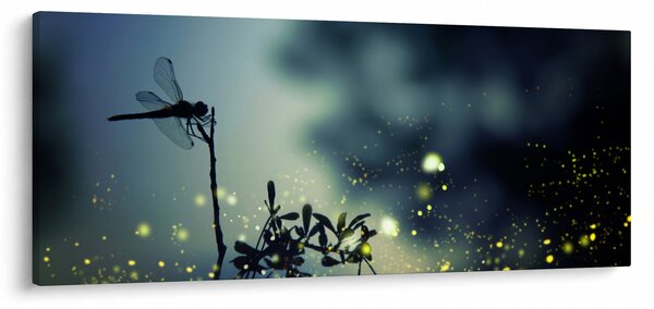 Obraz - Vážka za trblietavej noci (120x50 cm)
