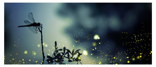 Obraz - Vážka za trblietavej noci (120x50 cm)