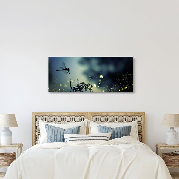 Obraz - Vážka za trblietavej noci (120x50 cm)