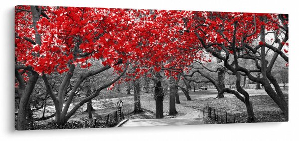 Obraz - Červené stromy, Central Park, New York (120x50 cm)