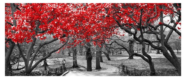Obraz - Červené stromy, Central Park, New York (120x50 cm)
