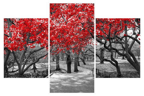 Obraz - Červené stromy, Central Park, New York (90x60 cm)
