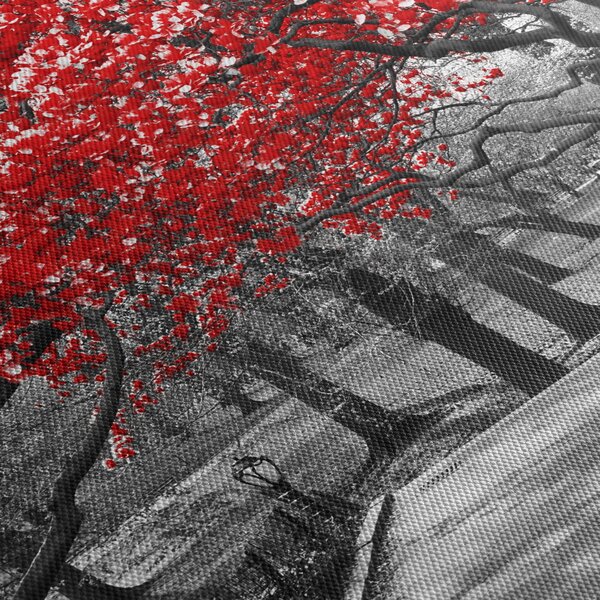 Obraz - Červené stromy, Central Park, New York (s hodinami) (90x30 cm)
