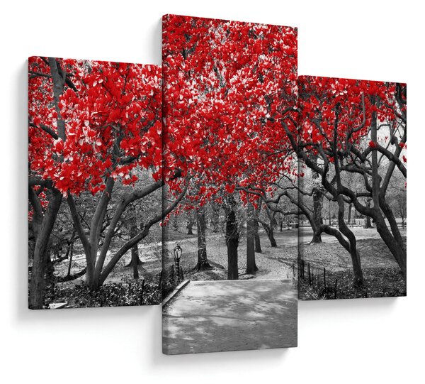 Obraz - Červené stromy, Central Park, New York (90x60 cm)