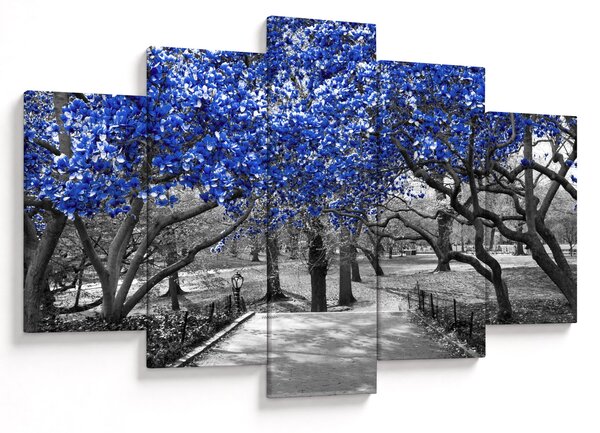 Obrázok - Modré stromy, Central Park, New York (150x105 cm)