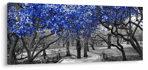 Obrázok - Modré stromy, Central Park, New York (120x50 cm)