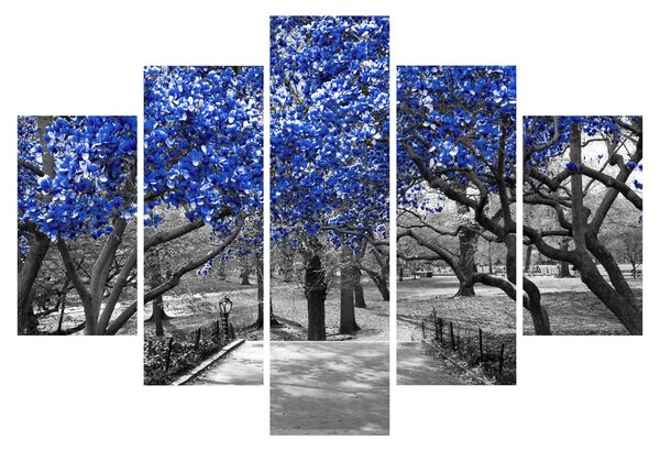 Obrázok - Modré stromy, Central Park, New York (150x105 cm)