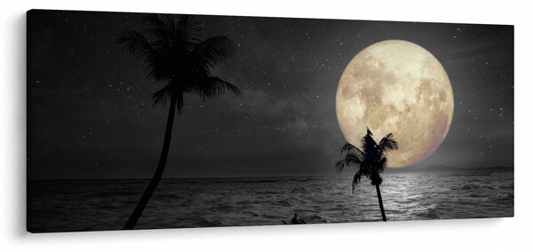 Obraz - Pláž za splnu v šedých tónoch (120x50 cm)