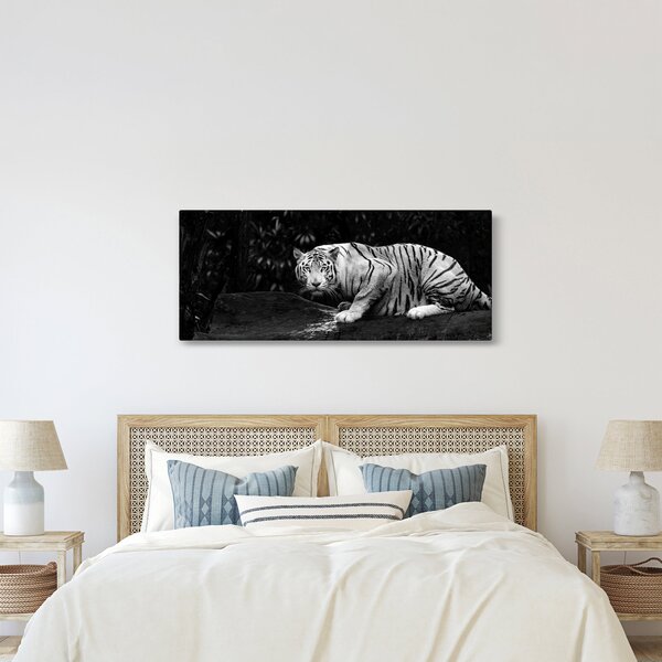 Obraz - Tiger albín, čiernobiely (120x50 cm)