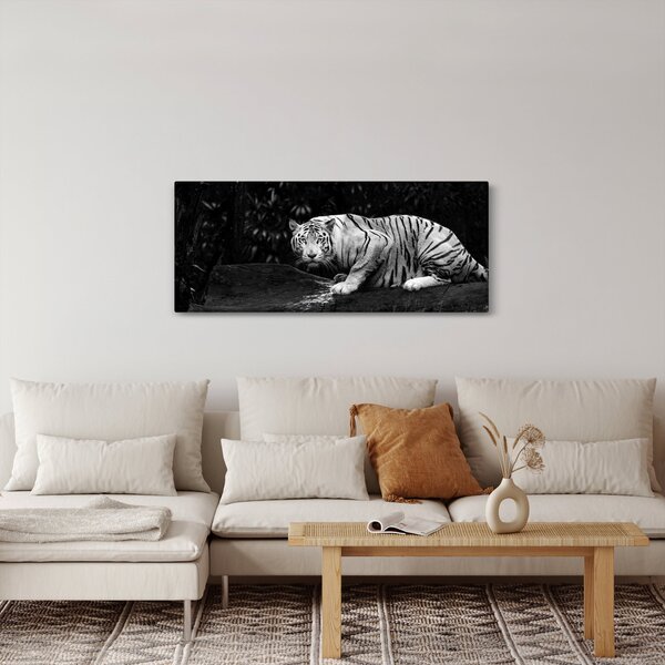 Obraz - Tiger albín, čiernobiely (120x50 cm)