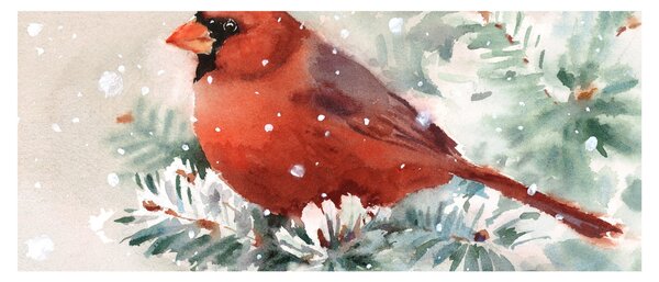 Obraz - Kardinál (120x50 cm)