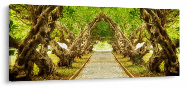 Obraz - Živý tunel z plumérií (120x50 cm)