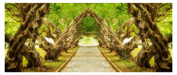 Obraz - Živý tunel z plumérií (120x50 cm)