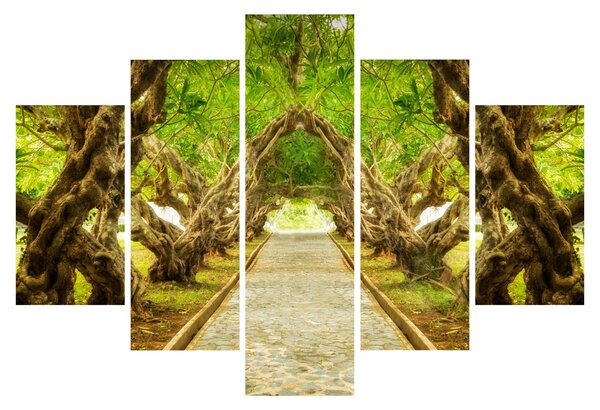 Obraz - Živý tunel z plumérií (150x105 cm)