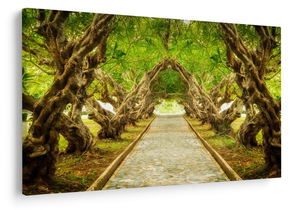 Obraz - Živý tunel z plumérií (90x60 cm)