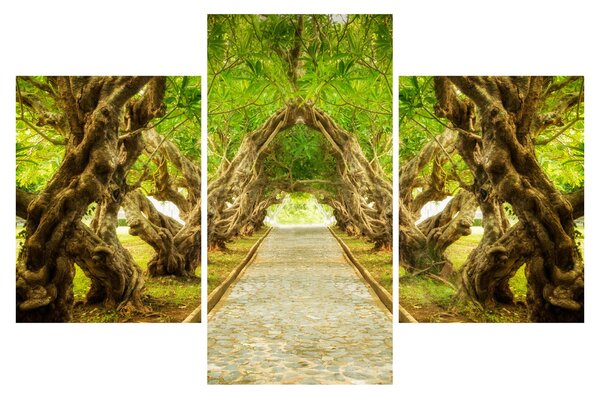 Obraz - Živý tunel z plumérií (90x60 cm)
