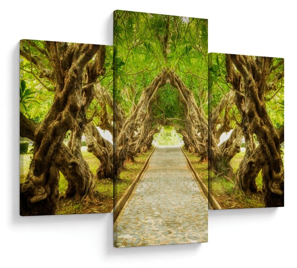 Obraz - Živý tunel z plumérií (90x60 cm)