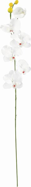 UMELÝ KVET orchidea 72 cm - Kvety & kvetináče