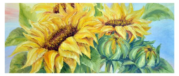 Obraz rozkvitnutých slnečníc (120x50 cm)