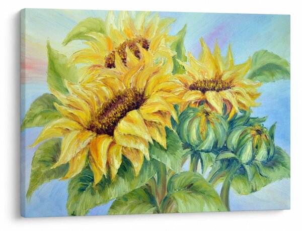 Obraz rozkvitnutých slnečníc (70x50 cm)