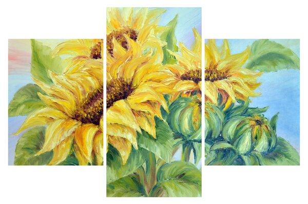 Obraz rozkvitnutých slnečníc (90x60 cm)