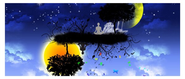 Obraz - Reflekcia rovnováhy (120x50 cm)