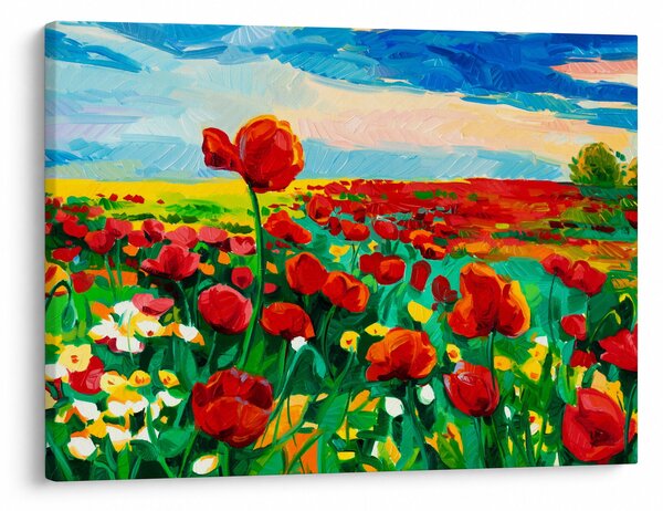 Obraz poľa s vlčími makmi (70x50 cm)