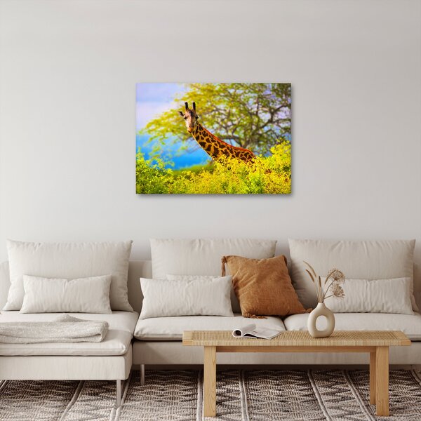 Obraz žirafy v Afrike (70x50 cm)