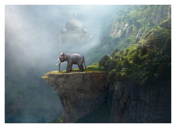 Obraz - Sloník na vrchole Taj Mahal (70x50 cm)